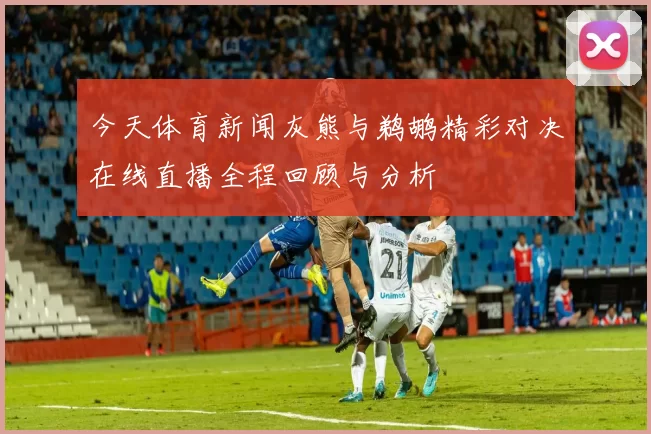 今天体育新闻灰熊与鹈鹕精彩对决在线直播全程回顾与分析